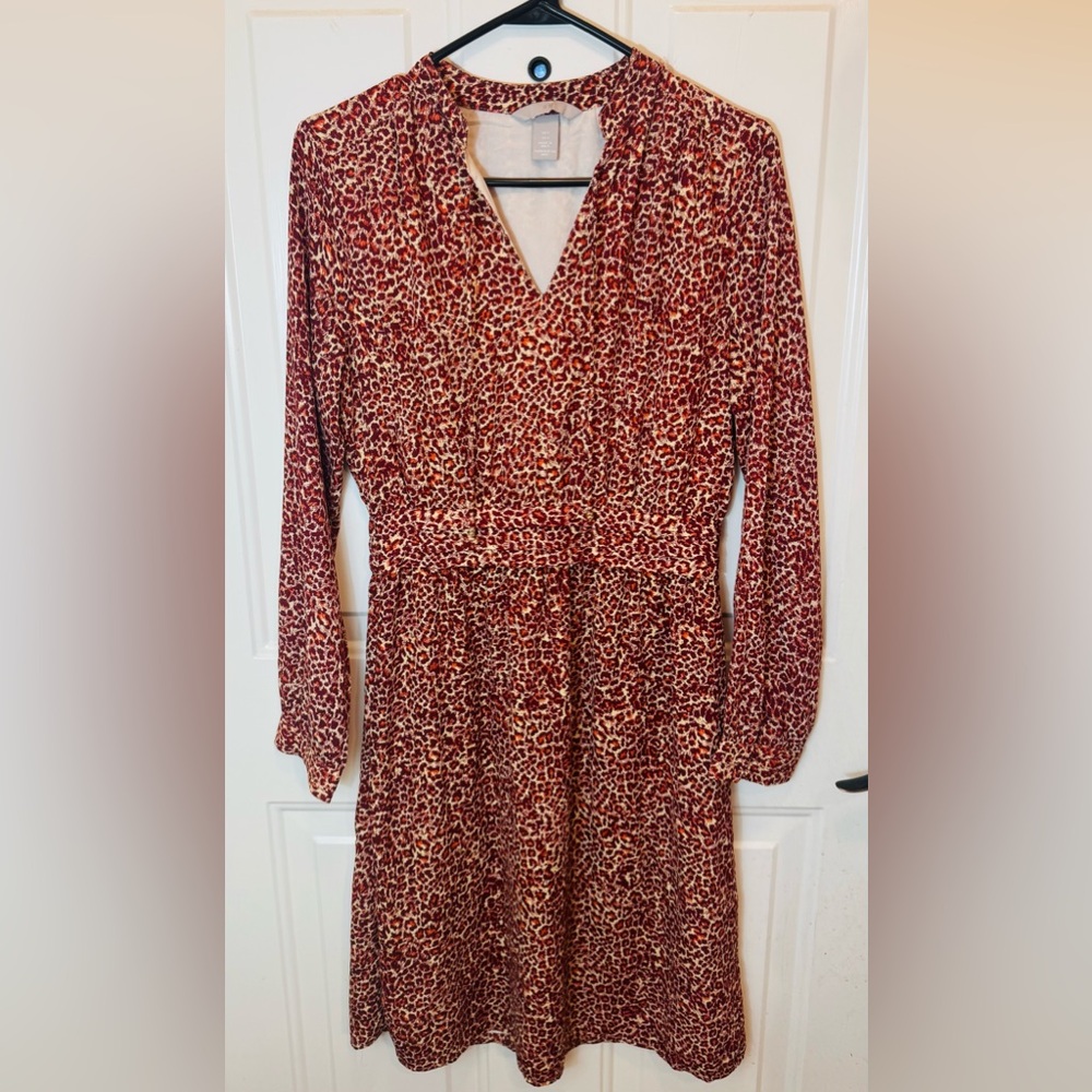 H&M Red Leopard Print Dress